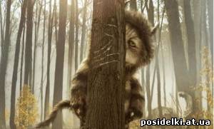 Там, где живут чудовища / Where the Wild Things Are (2009) DVDScr